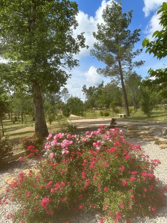 Superbe Villa Seillans La Grande Bastide Avec Piscine, Jardin, Climatisation Et Salle De Sport 外观 照片