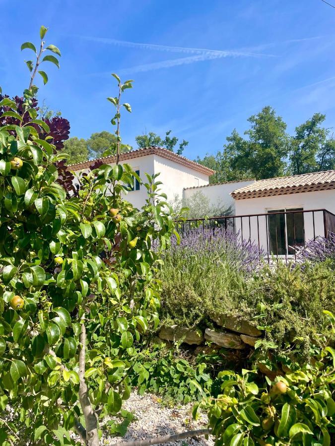 Superbe Villa Seillans La Grande Bastide Avec Piscine, Jardin, Climatisation Et Salle De Sport 外观 照片