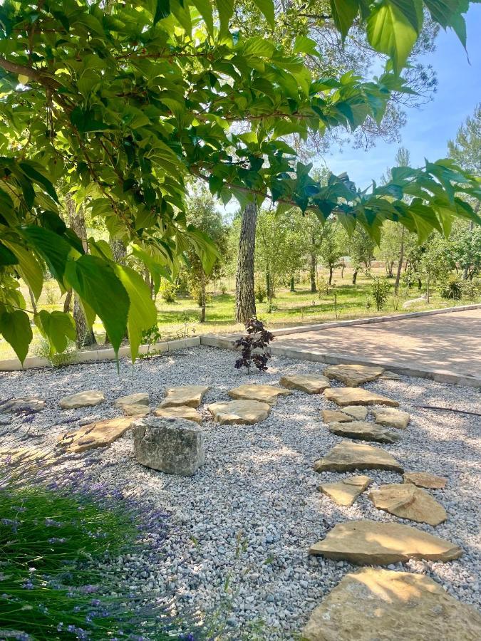 Superbe Villa Seillans La Grande Bastide Avec Piscine, Jardin, Climatisation Et Salle De Sport 外观 照片