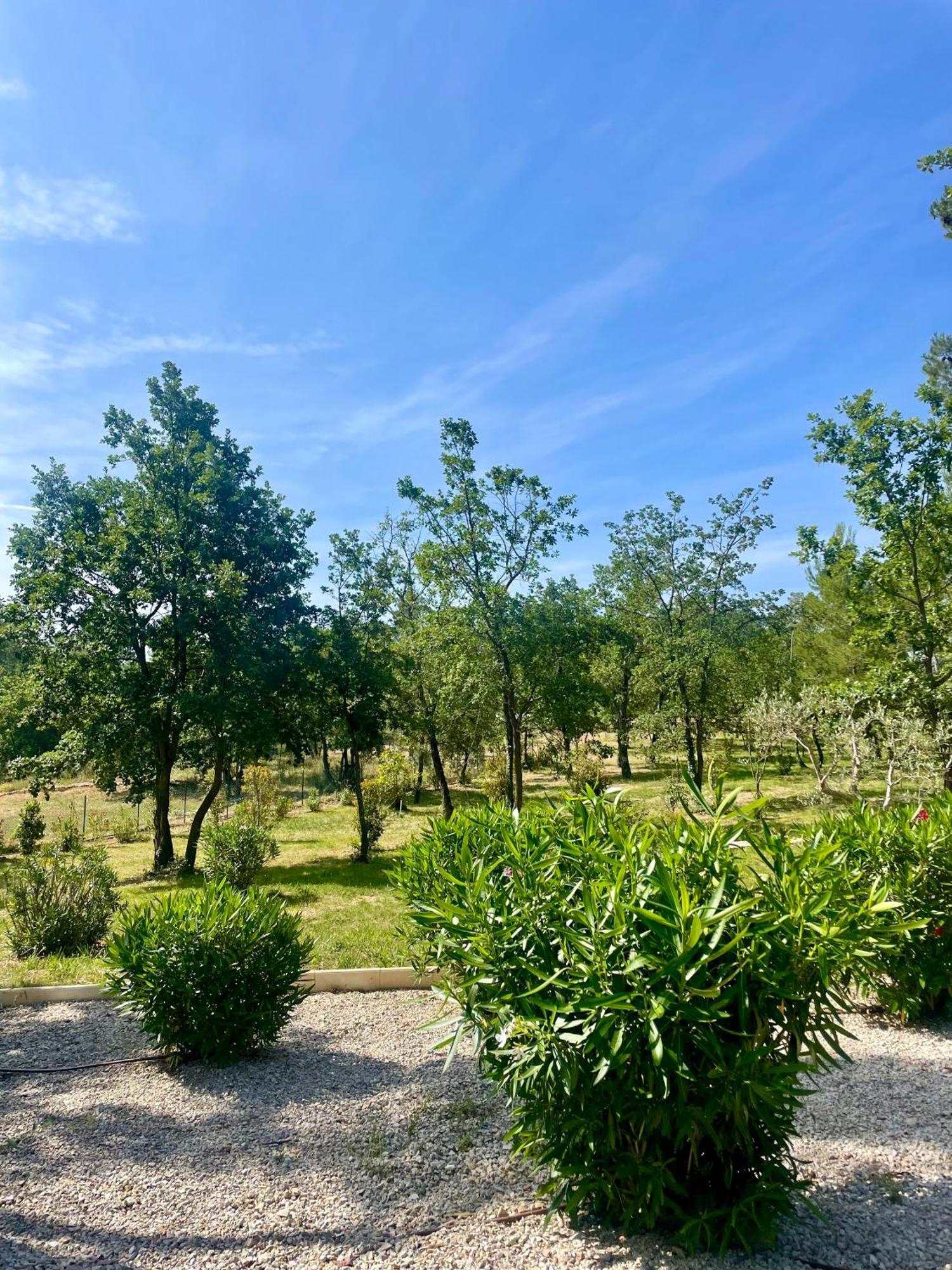 Superbe Villa Seillans La Grande Bastide Avec Piscine, Jardin, Climatisation Et Salle De Sport 外观 照片