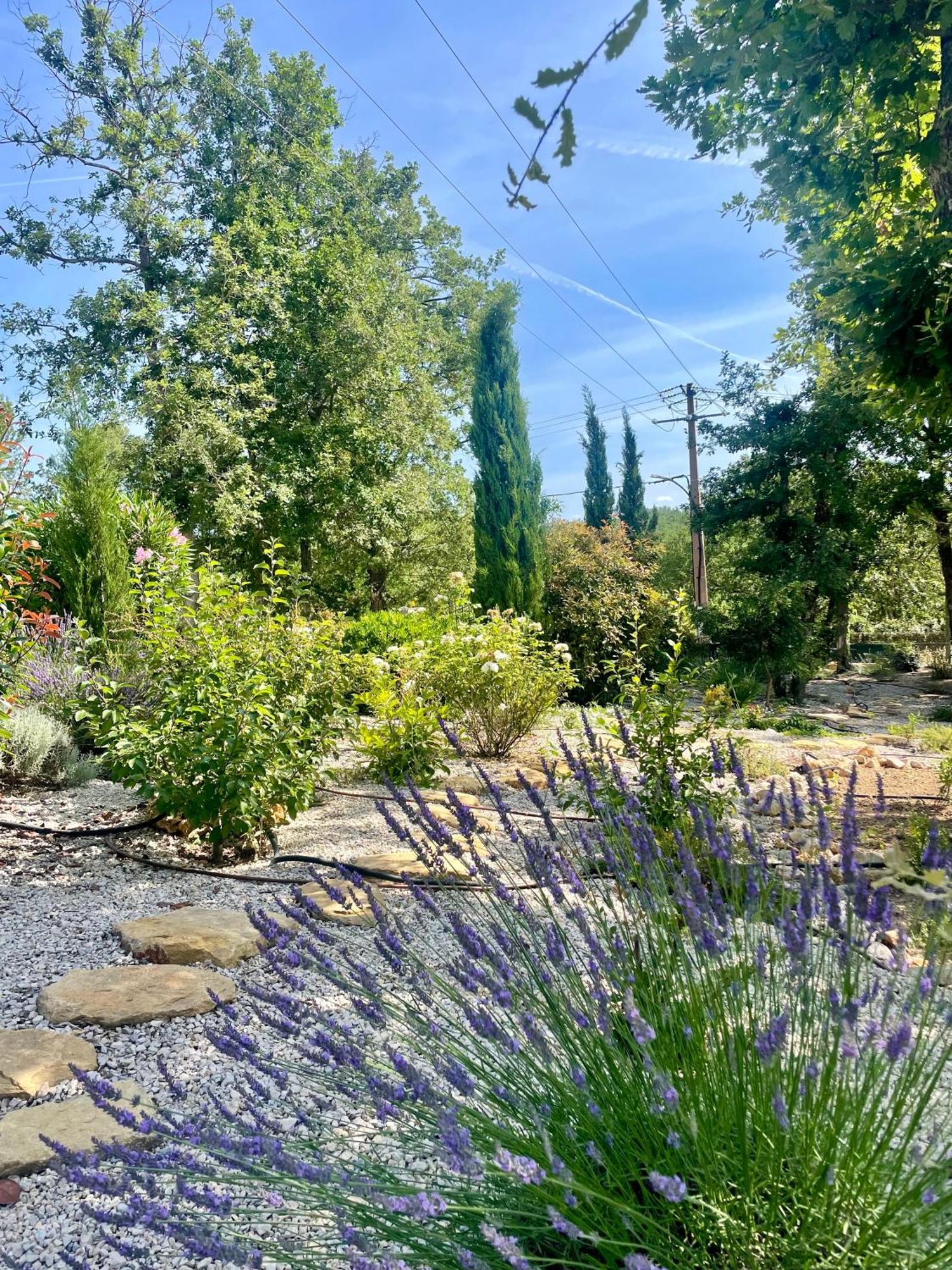 Superbe Villa Seillans La Grande Bastide Avec Piscine, Jardin, Climatisation Et Salle De Sport 外观 照片