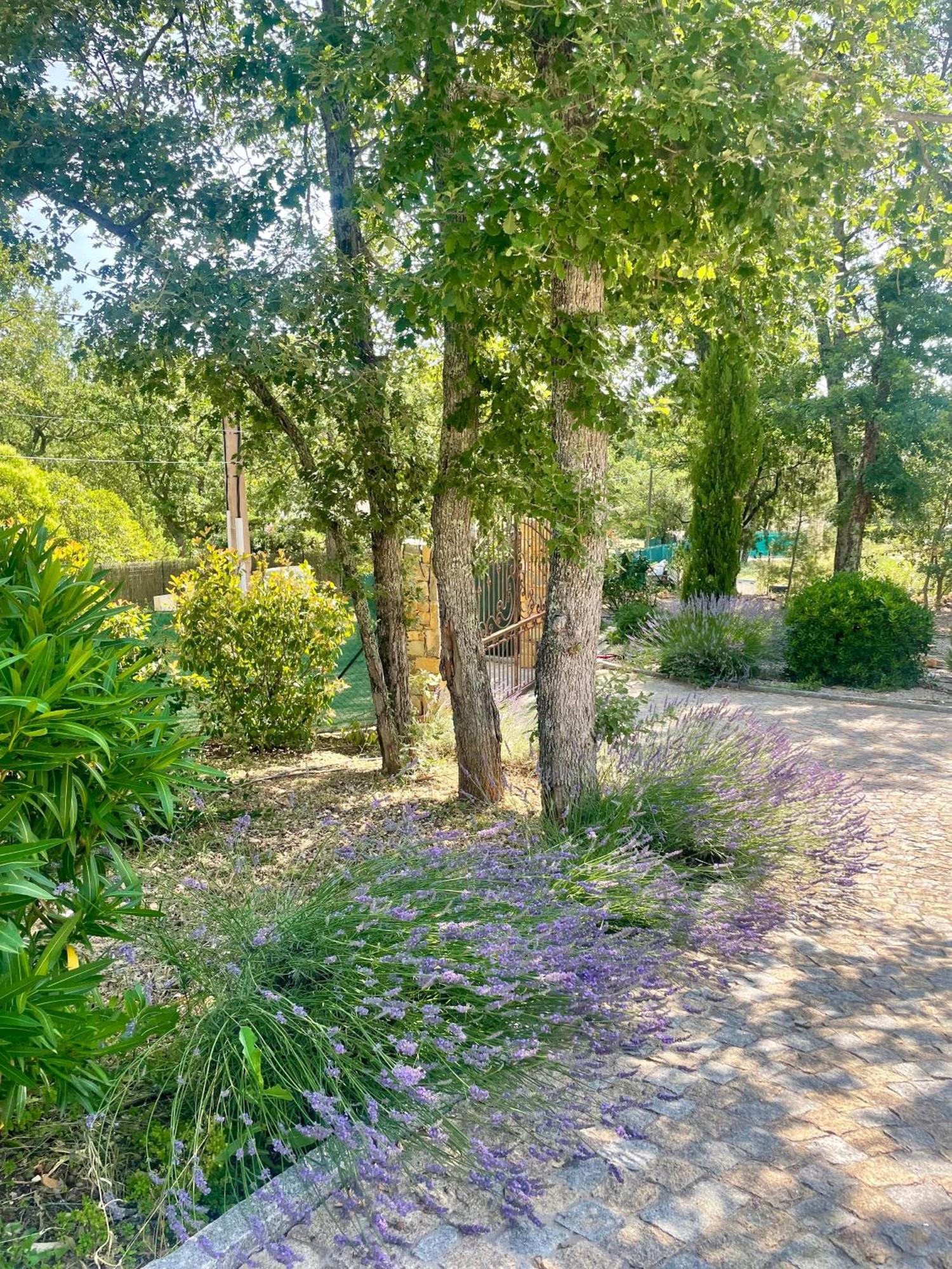 Superbe Villa Seillans La Grande Bastide Avec Piscine, Jardin, Climatisation Et Salle De Sport 外观 照片