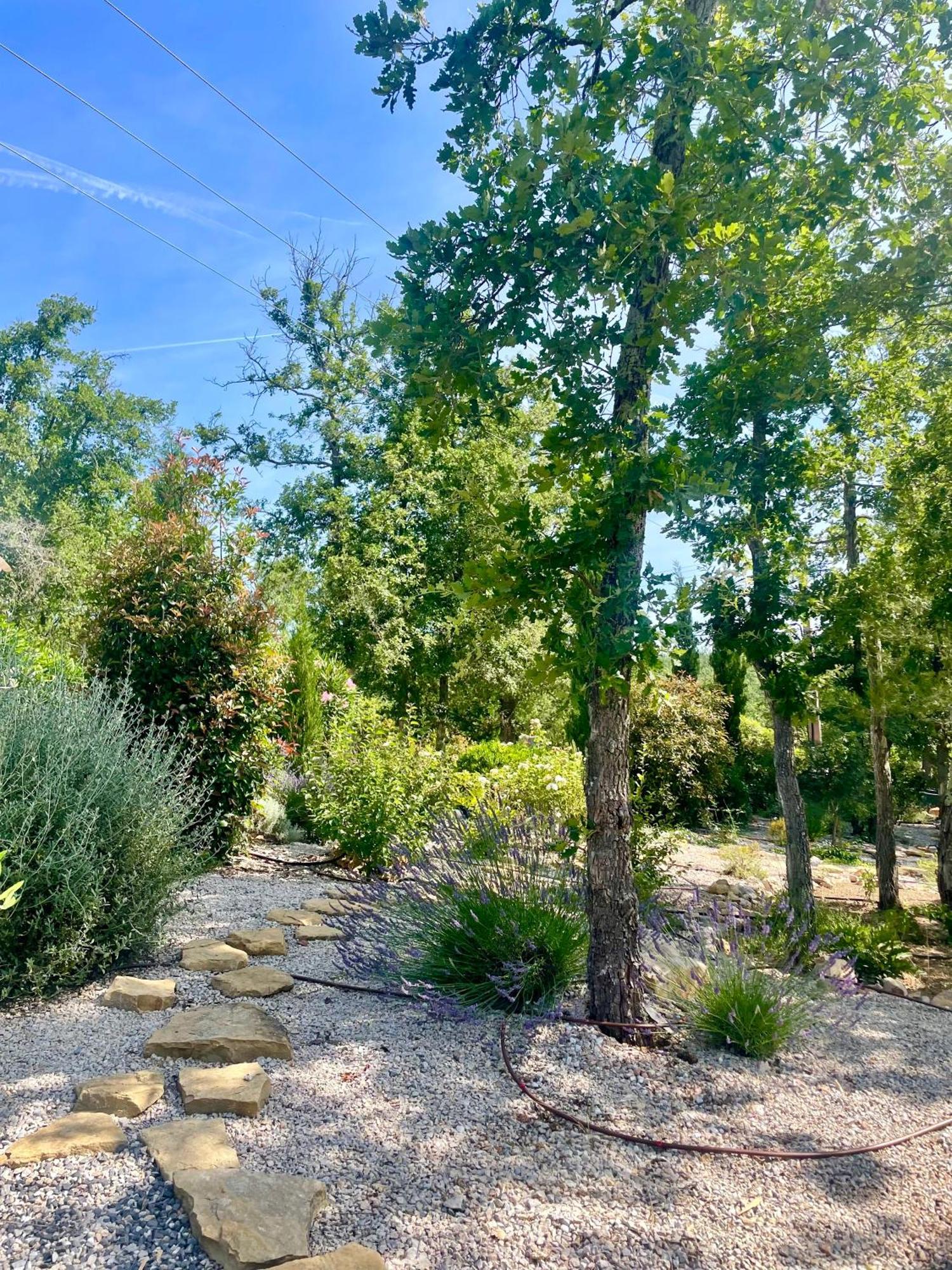 Superbe Villa Seillans La Grande Bastide Avec Piscine, Jardin, Climatisation Et Salle De Sport 外观 照片